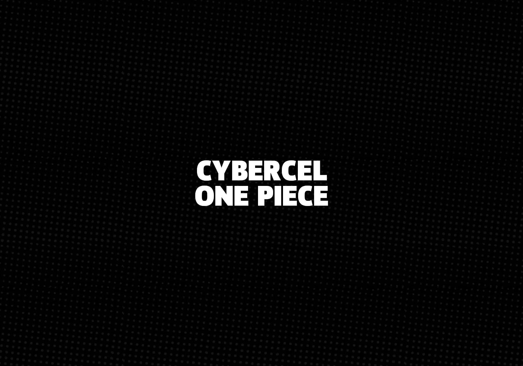 CyberCel-One-Piece 