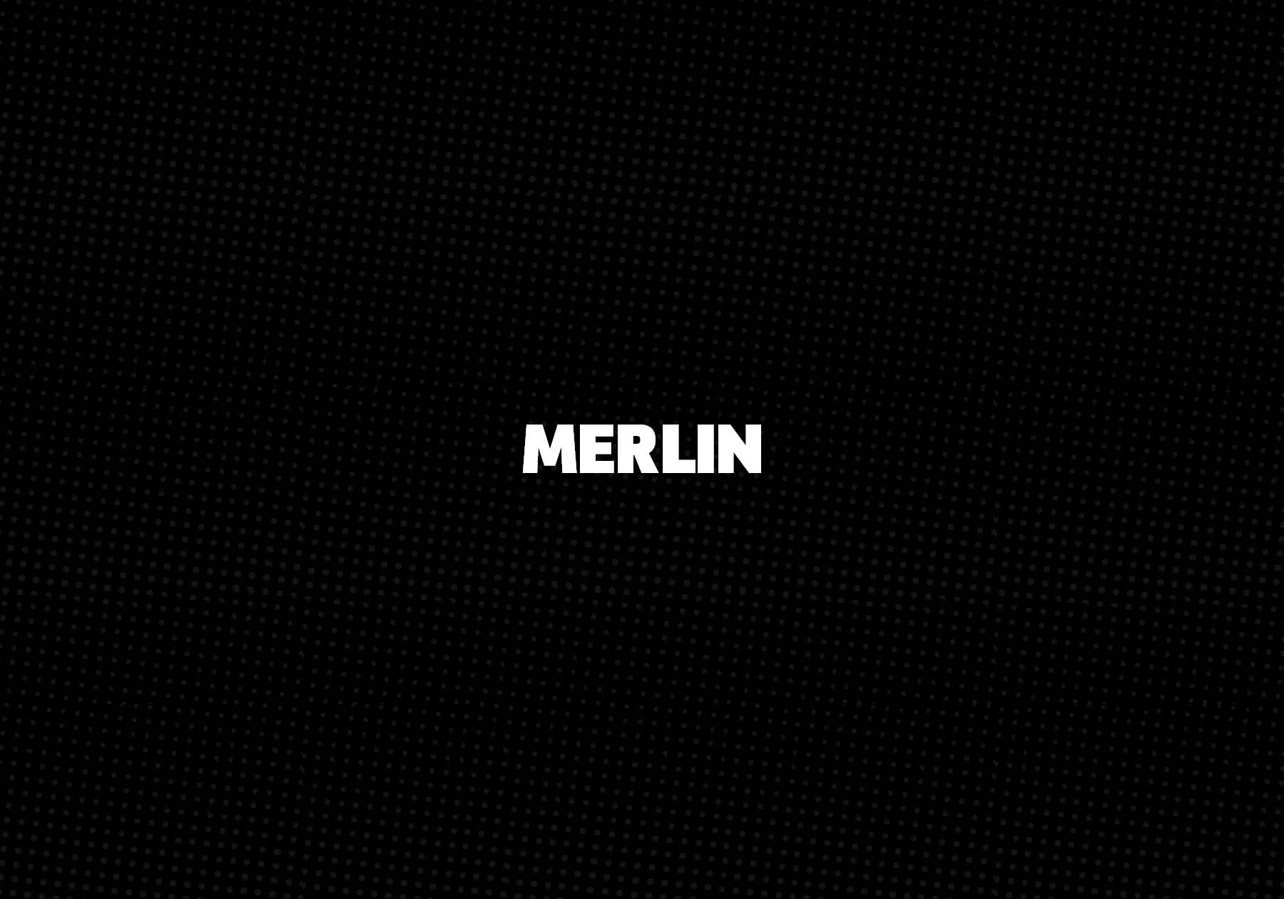 Merlin Cards for Sale | Shop Trading & Sports Cards Online