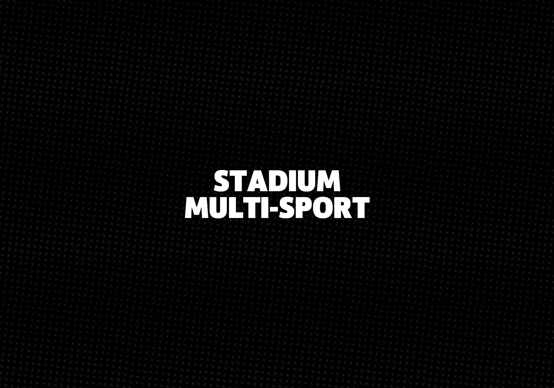 Stadium-Multi-Sport 