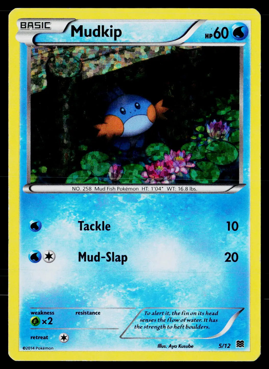 2015 Pokemon McDonald's Promo Mudkip 5/12 