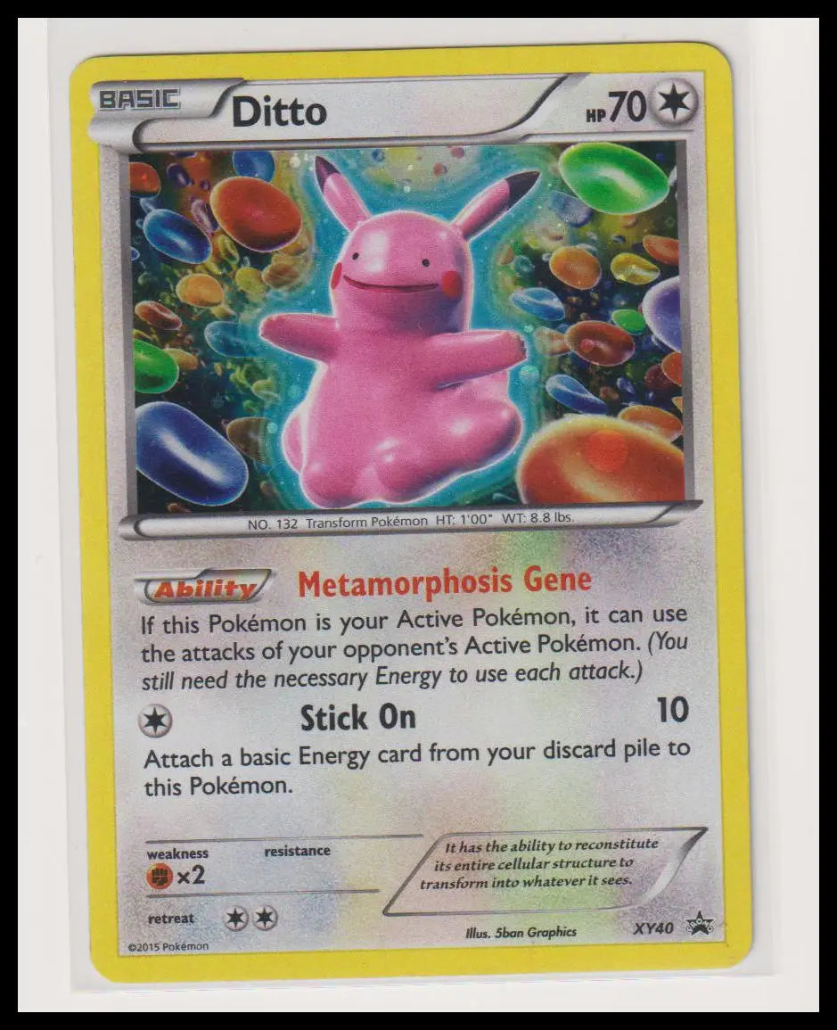 2015 Pokemon XY Promos Ditto XY40 MP 