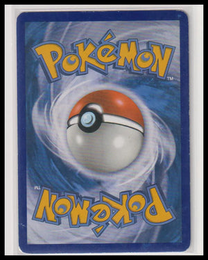 2016 Pokemon Promo M Gengar EX XY166 DMG 