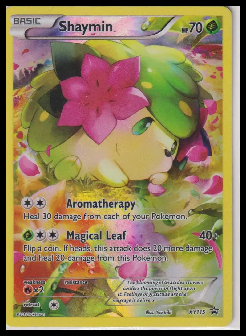 2016 Pokemon XY Black Star Promo Shaymin XY115 