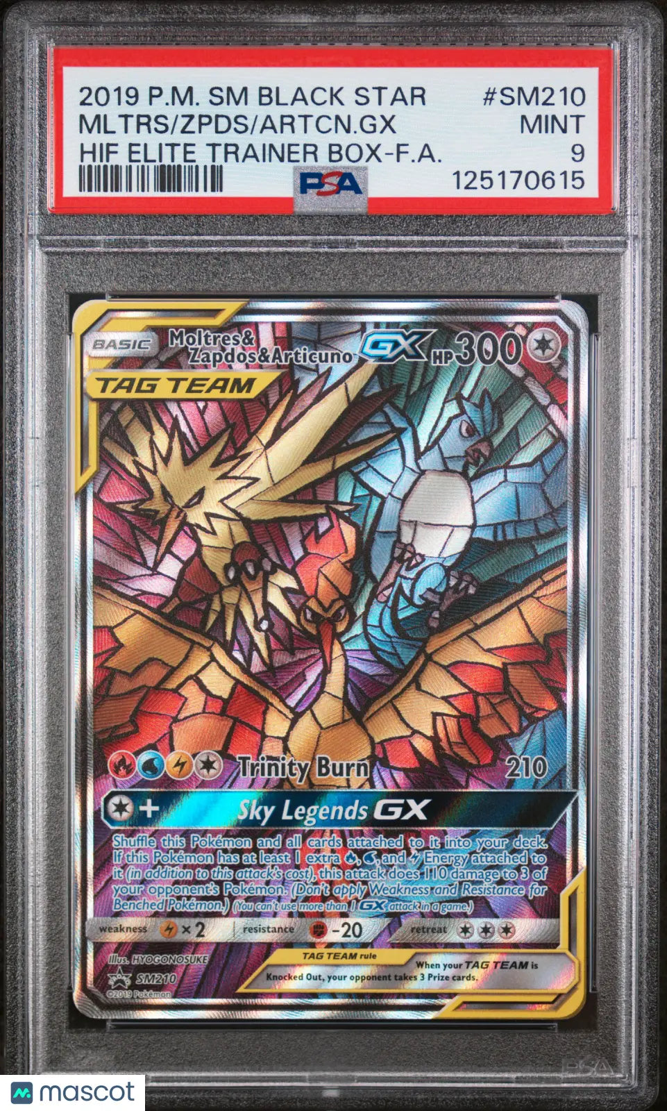 2019 Pokemon Black Star Promo Artcn. GX Zpds Mltrs Hif-F.A. PSA 9 