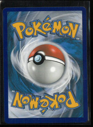 2019 Pokemon Black Star Promo Mewtwo & Mew GX Tag Team SM191 