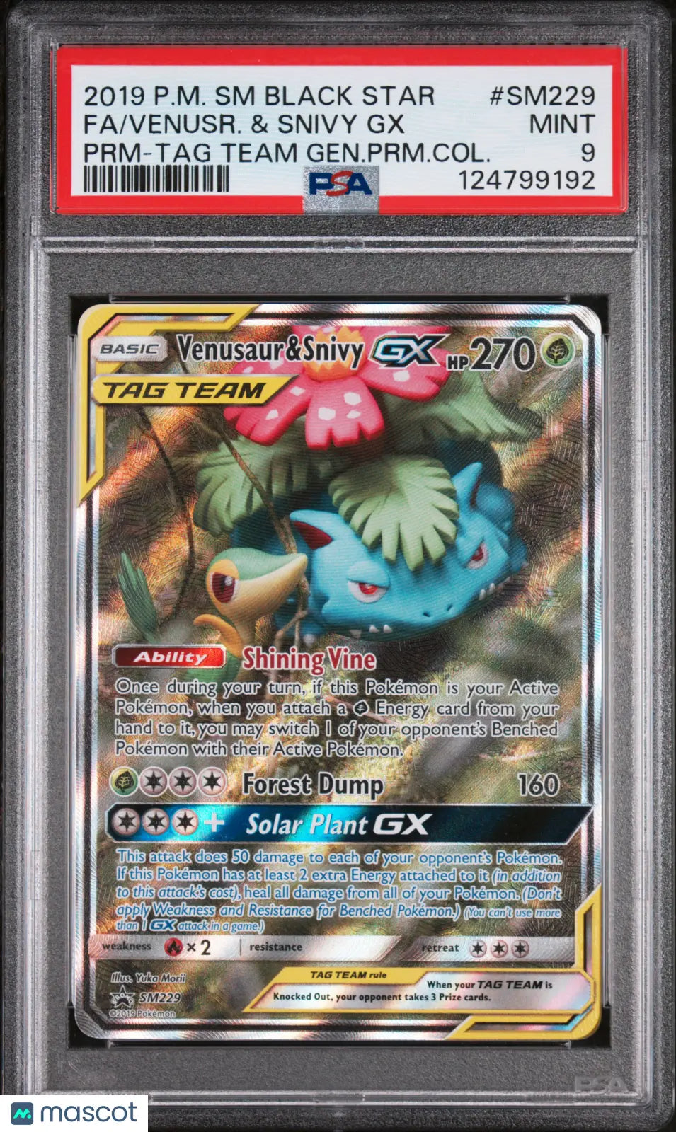 2019 Pokemon SM BSP Venusaur Snivy GX #SM229 Fa Premium TAG Team PSA 9 