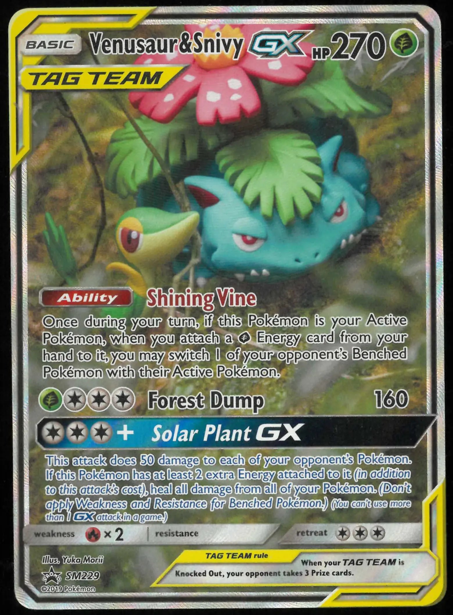 2019 Pokemon Sun & Moon Black Star Promo Tag Team Venusaur & Snivy GX SM229 