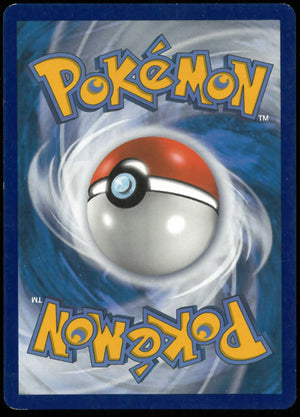 2019 Pokemon Sun & Moon Black Star Promo Tag Team Venusaur & Snivy GX SM229 