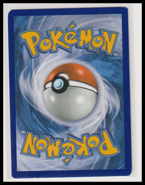 2021 Pokemon Black Star Promo Reshiram & Charizard GX SM247 