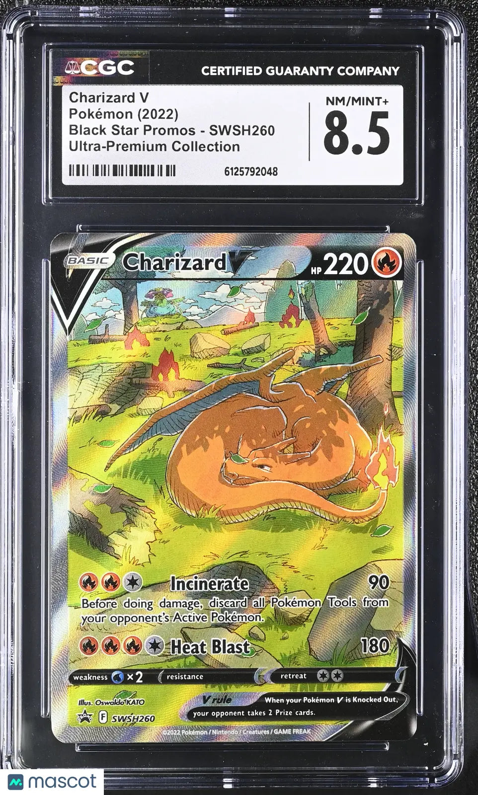 2022 Pokemon BSP Promo Charizard V Ultra-Premium Collection CGC 8.5 #SWSH260 