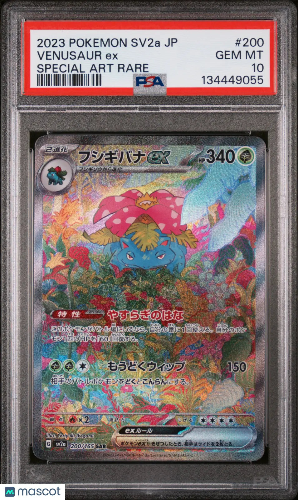 2023 Pokemon JPN. Sv2a- 151 Venusaur EX Japanese Special Art Rare PSA 10 200/165 