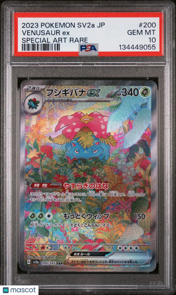 2023 POKEMON SV2a JP ゼニガメ ART RARE GameStop 2023 Pokemon