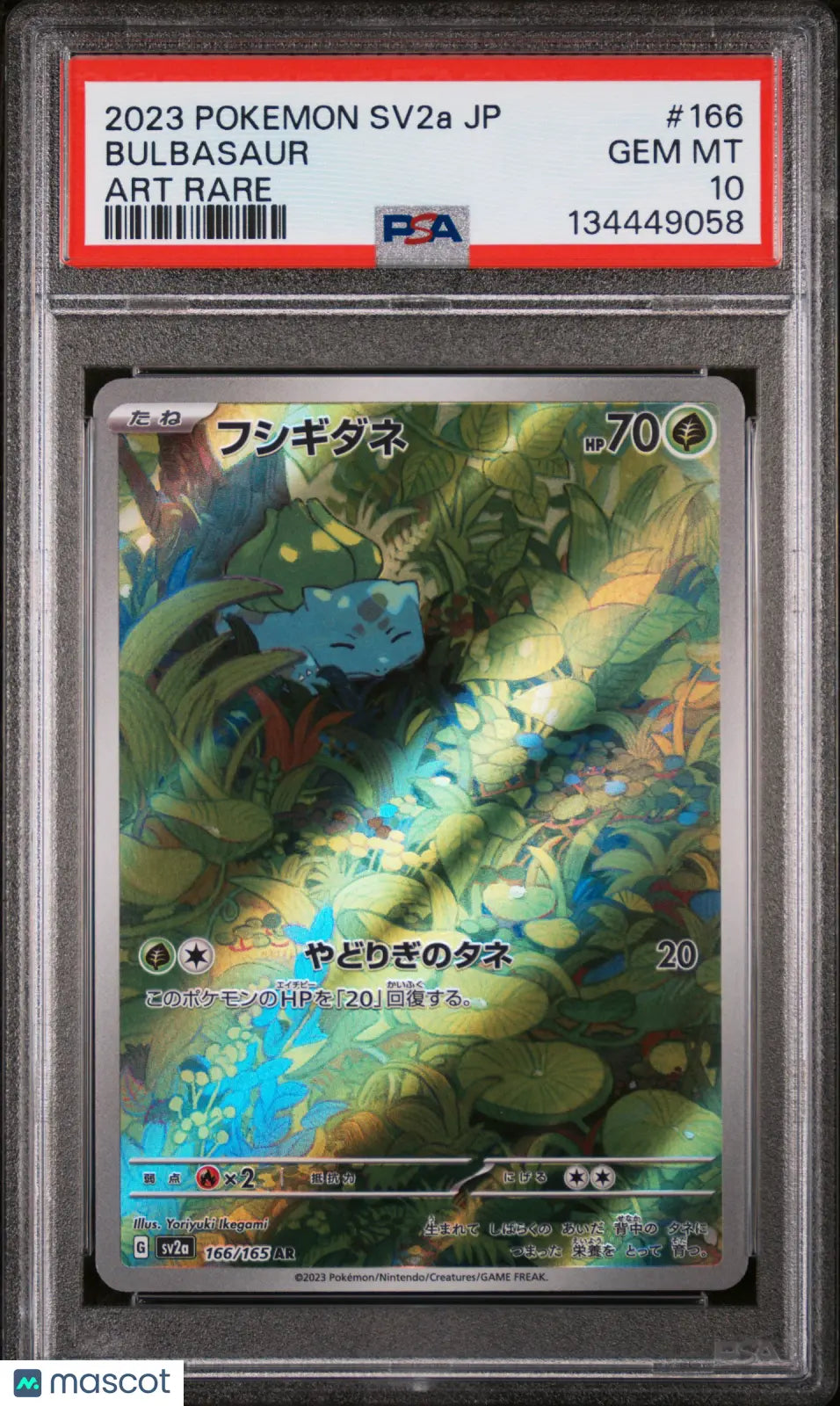 2023 Pokemon Japanese Sv2a-Pokemon 151 Bulbasaur Art Rare PSA 10 166/165 
