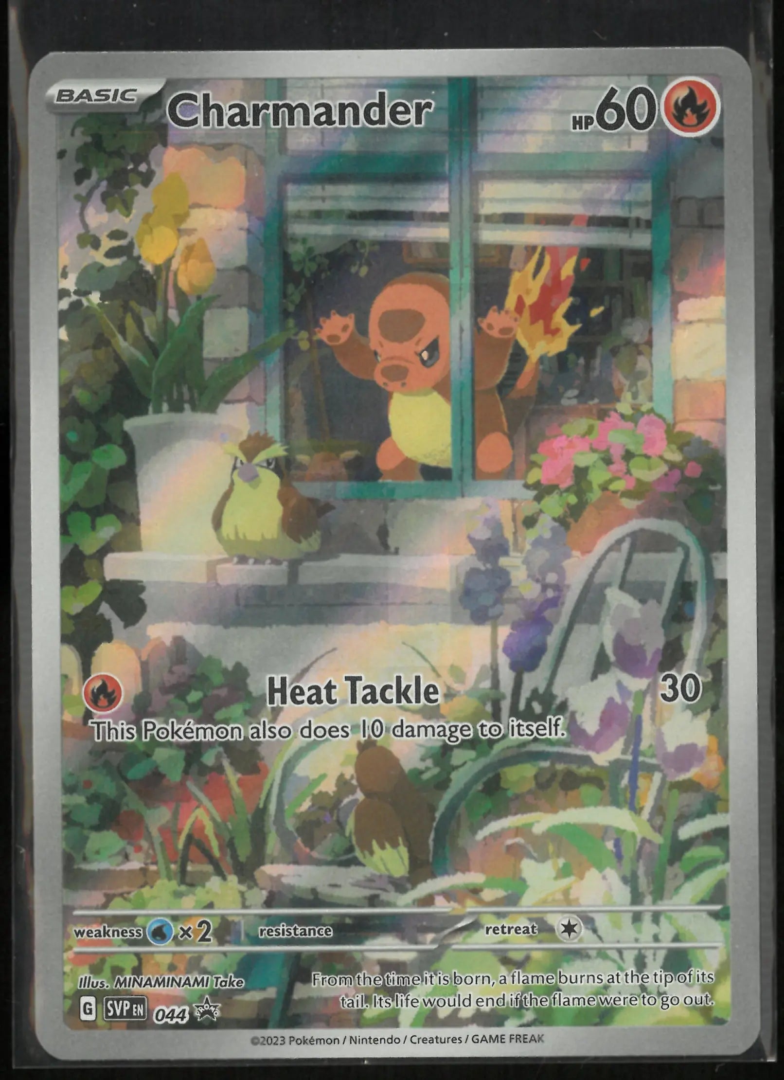 2023 Pokemon Obsidian Flames Elite Trainer Box Promo Charmander 44 