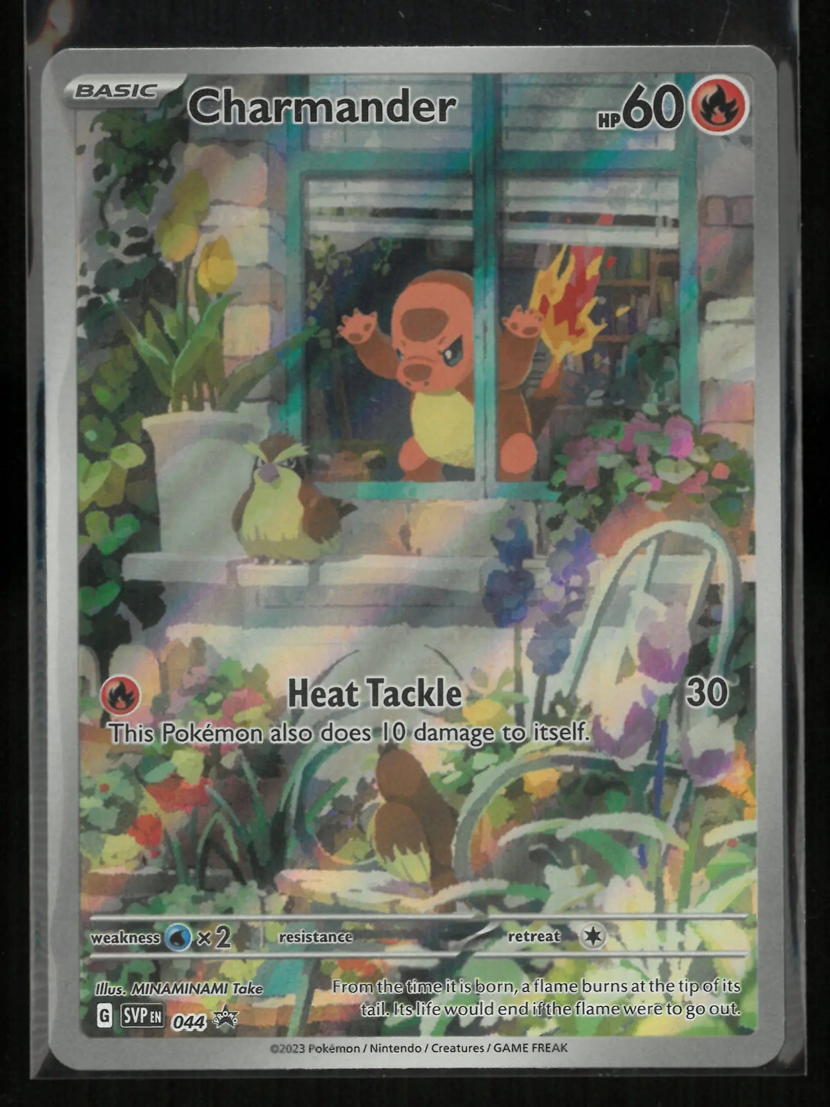 2023 Pokemon Obsidian Flames Elite Trainer Box Promo Charmander 44 