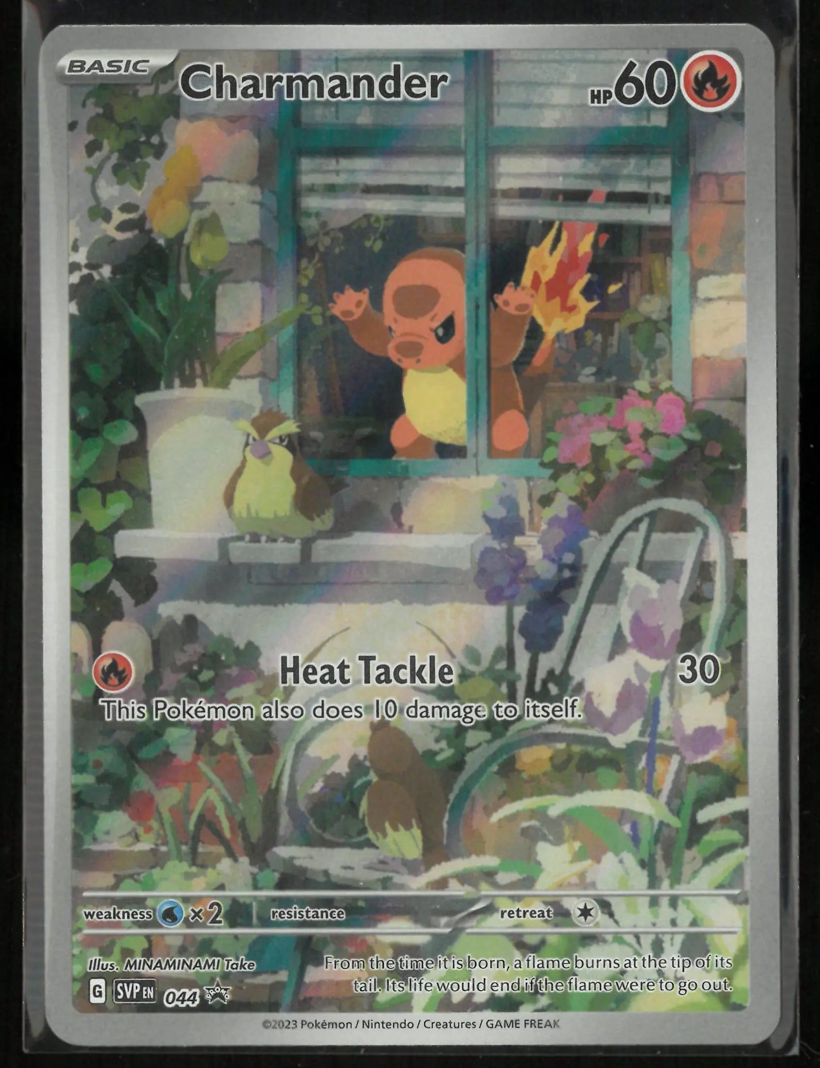 2023 Pokemon Obsidian Flames Elite Trainer Box Promo Charmander 44 