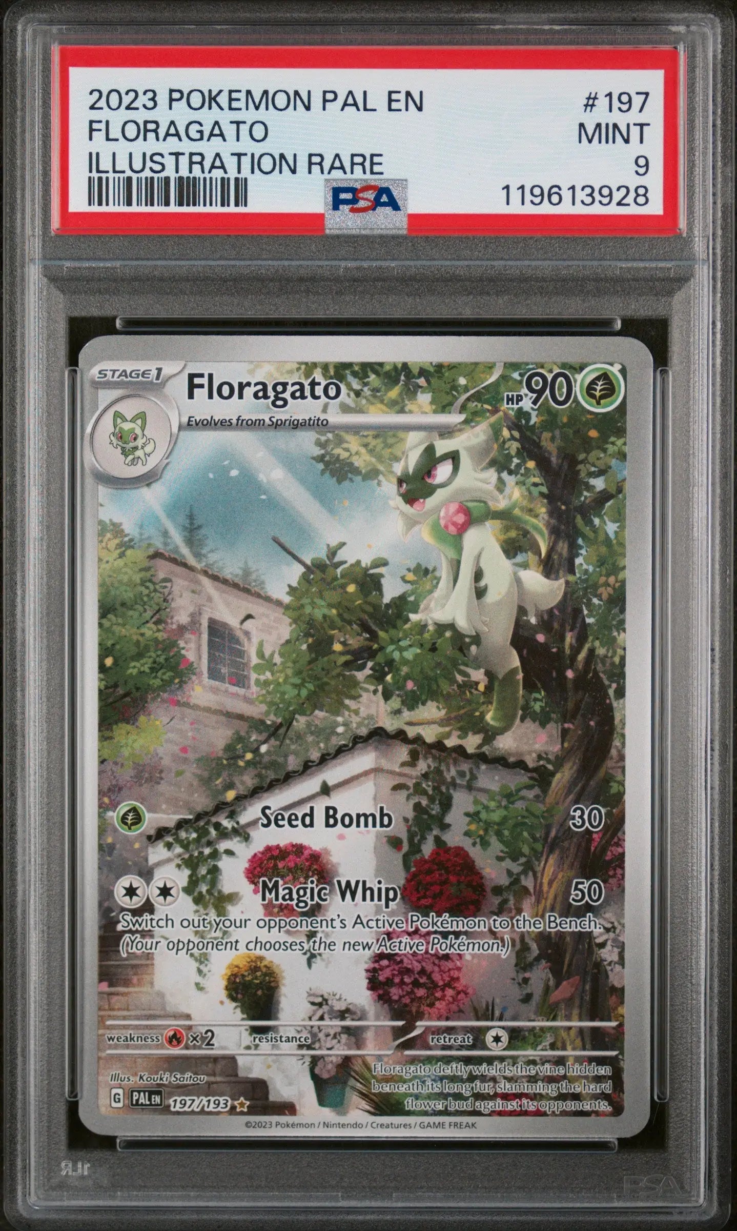 2023 Pokemon Pal EN-Paldea Evolved Floragato Illustration Rare 197/193 PSA 9 