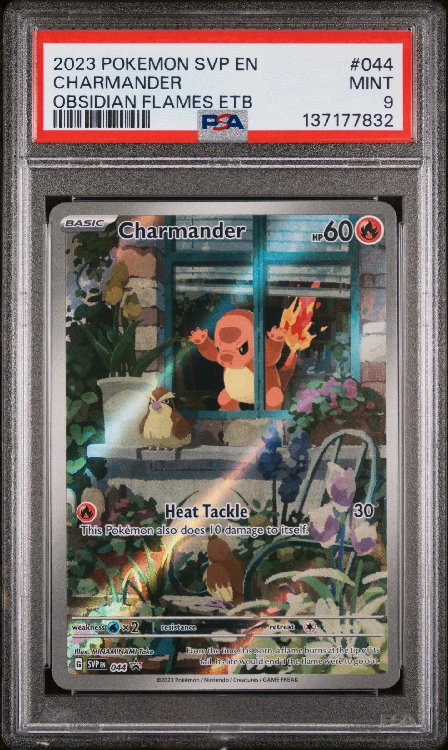 2023 Pokemon SV Black Star Promo Charmander 044 Obsidian Flames ETB PSA 9 