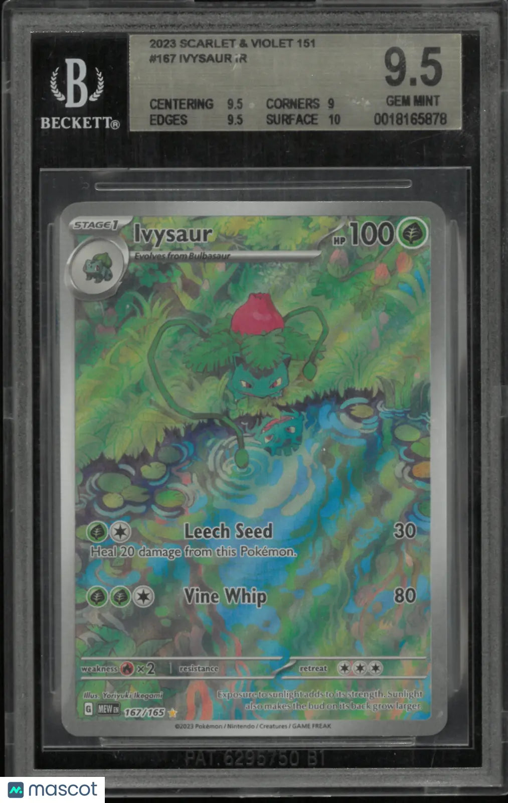 2023 Pokemon SV: 151 Illustration Rare Ivysaur 167/165 BGS 9.5 