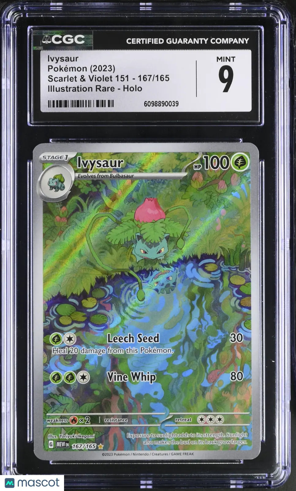 2023 Pokemon Scarlet & Violet 151 Ivysaur Illustration Rare CGC 9 167/165 