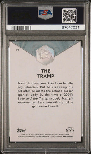 2023 Topps Chrome Disney 100 The Tramp #77 Purple Refractor /299 PSA 9 