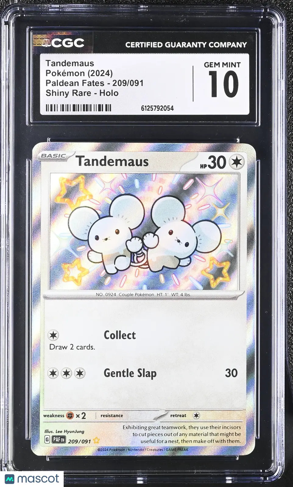 2024 Pokemon Paldean Fates Tandemaus Holo Shiny Rare Shiny Rare CGC 10 #209/091 