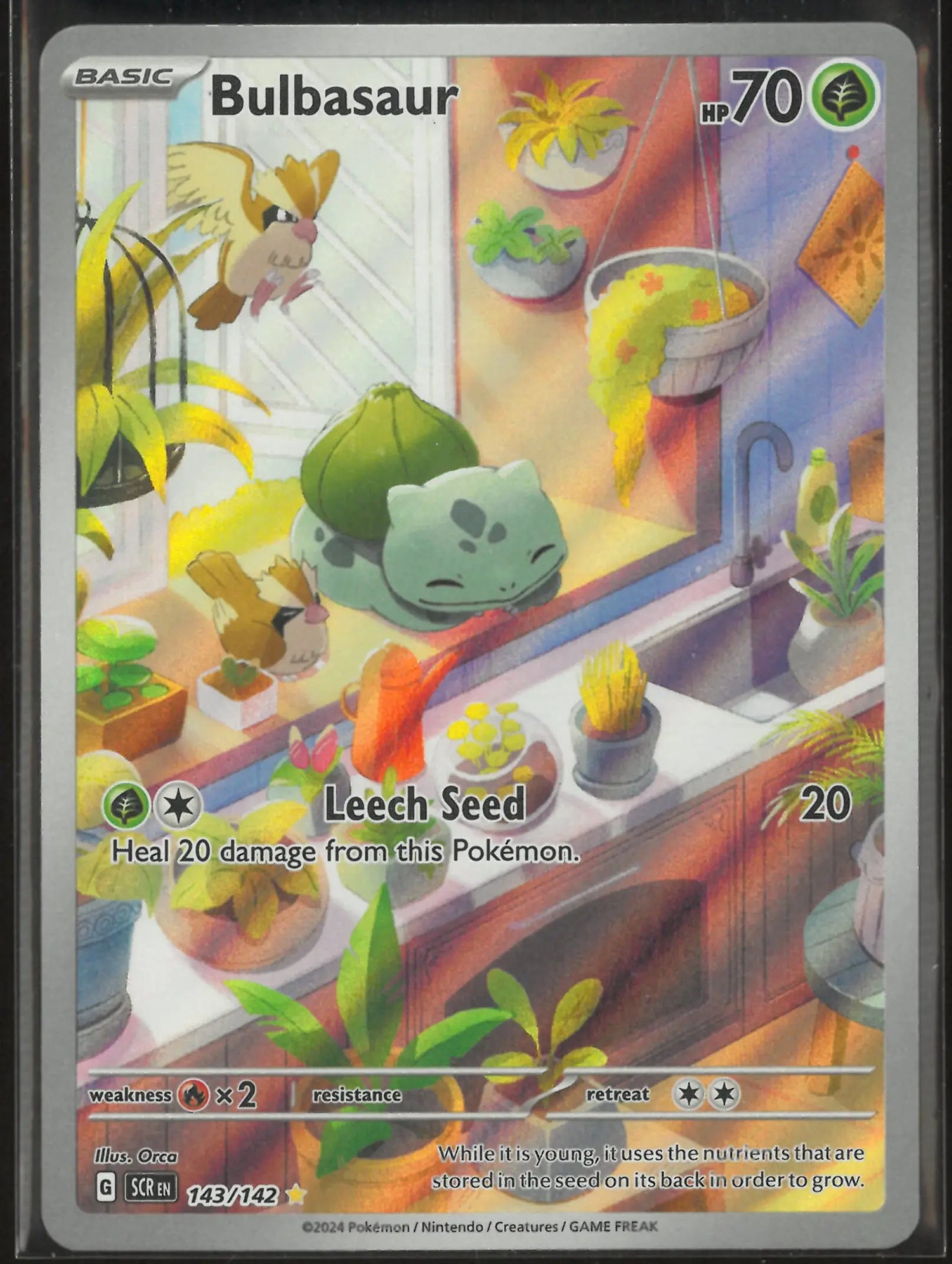 2024 Pokemon Stellar Crown Illustration Rare Bulbasaur 143/142 
