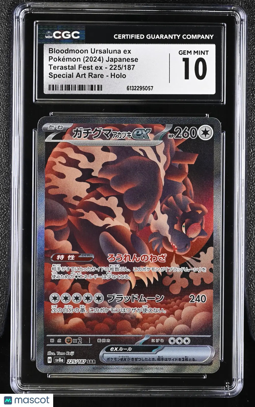 bloodmoon ursaluna ex pokemon card 2024 Pokemon Ter Fest EX Bloodmoon Ursaluna ex Special Art Rare CGC 10