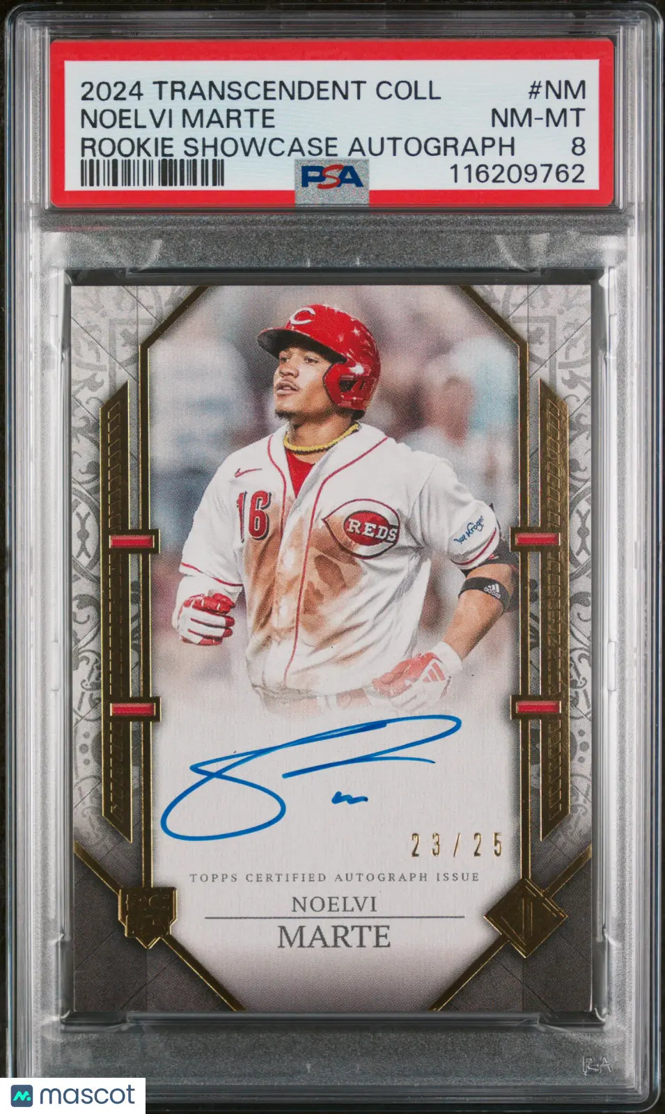 2024 Topps Transcendent Collection Rookie Showcase Auto Noelvi Marte PSA 8 /25 