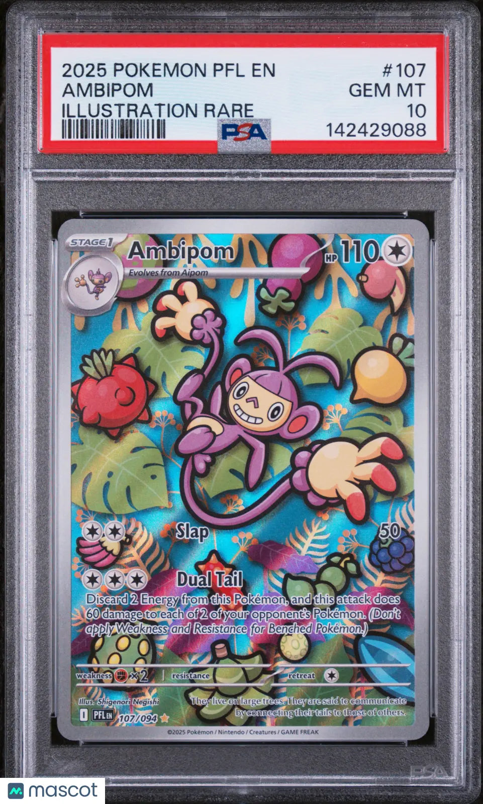 2025 Pokemon PFL EN-Phantasmal Flames Ambipom Illustration Rare PSA 10 107/94 