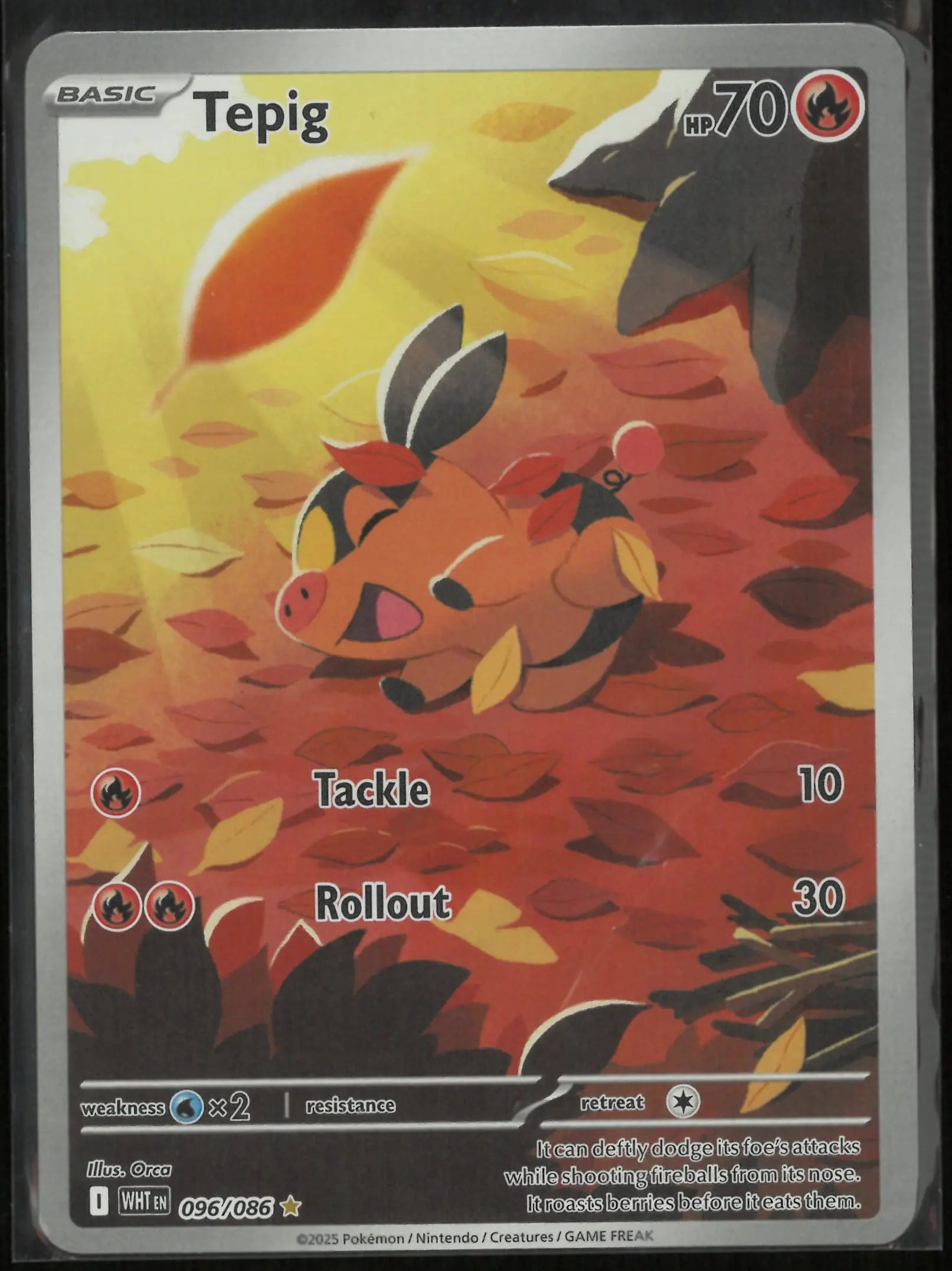 2025 Pokemon White Flare Illustration Rare Tepig 096/086 