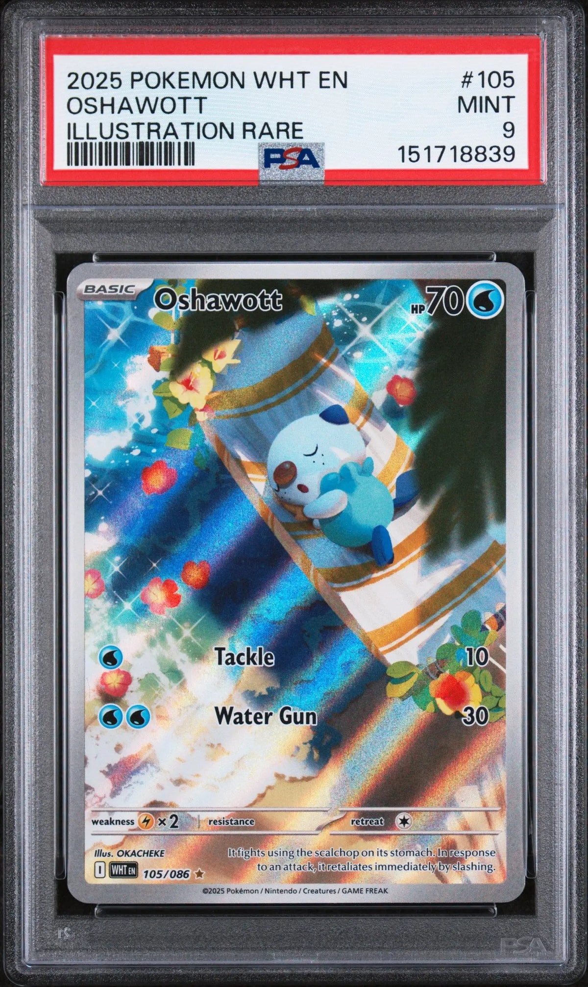 2025 Pokemon White Flare Oshawott Illustration Rare 105/086 PSA 9 