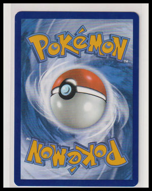 2025 Pokemon White Flare Zoroark Illustration Rare 143/086 