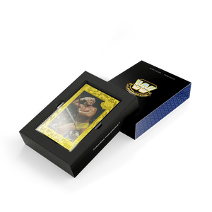 Agoro WWE Golden Era Legends 5g Foil Blind Box 