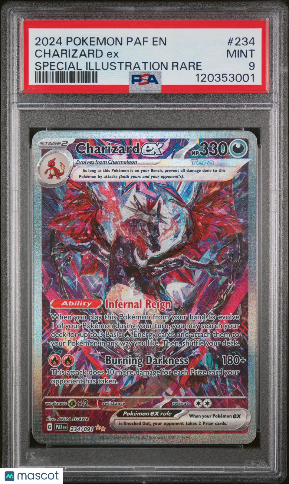 Charizard SIR PSA 9 Paldean Fates 2024 Pokemon 