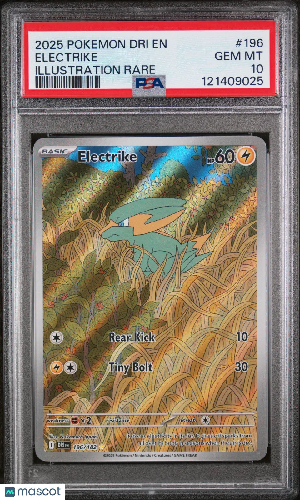 Electrike 2025 Pokemon Destined Rivals #196 Illustration Rare PSA 10 196/182 