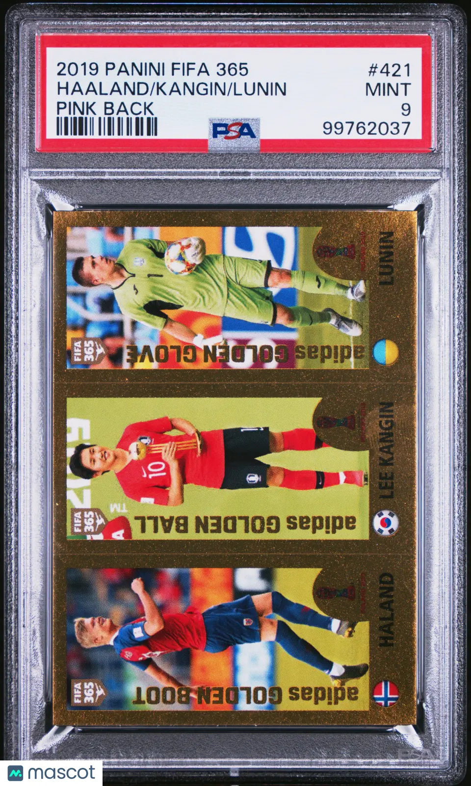 Erling Haaland Haland RC PSA 9 Rookie 2019 Panini Sticker FIFA 365 Pink Back 