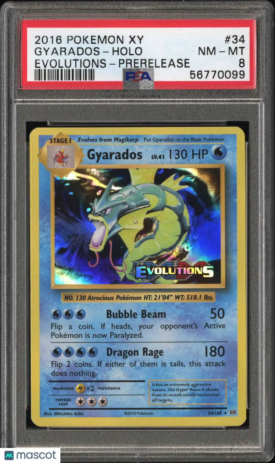 Gyarados 2016 Pokemon Xy Evolutions Holo Evolutions Prerelease PSA 8 #34 34/108 