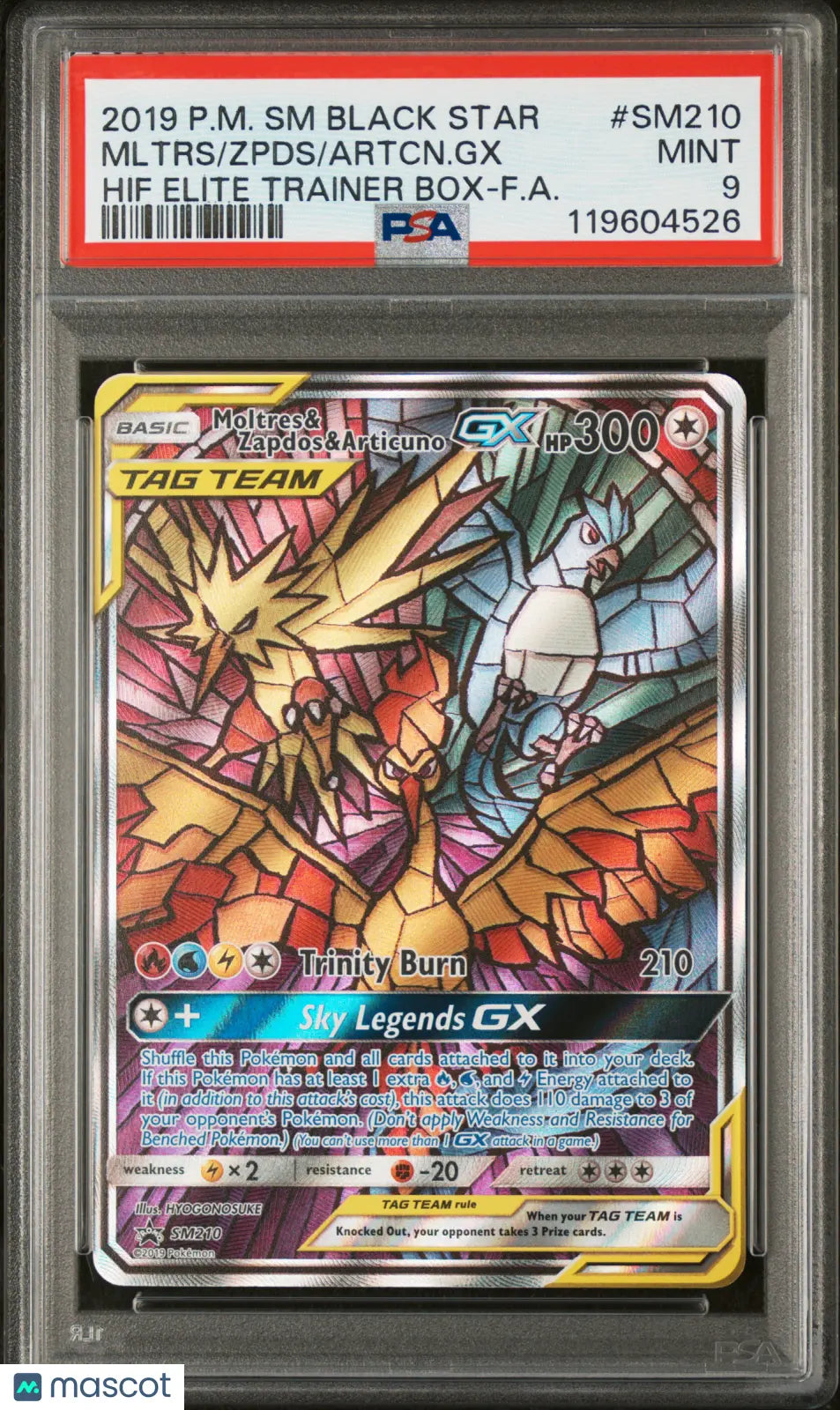 Moltres Zapdos Articuno TAG TEAM PSA 9 Elite Trainer Box Black Star 2019 SM210 