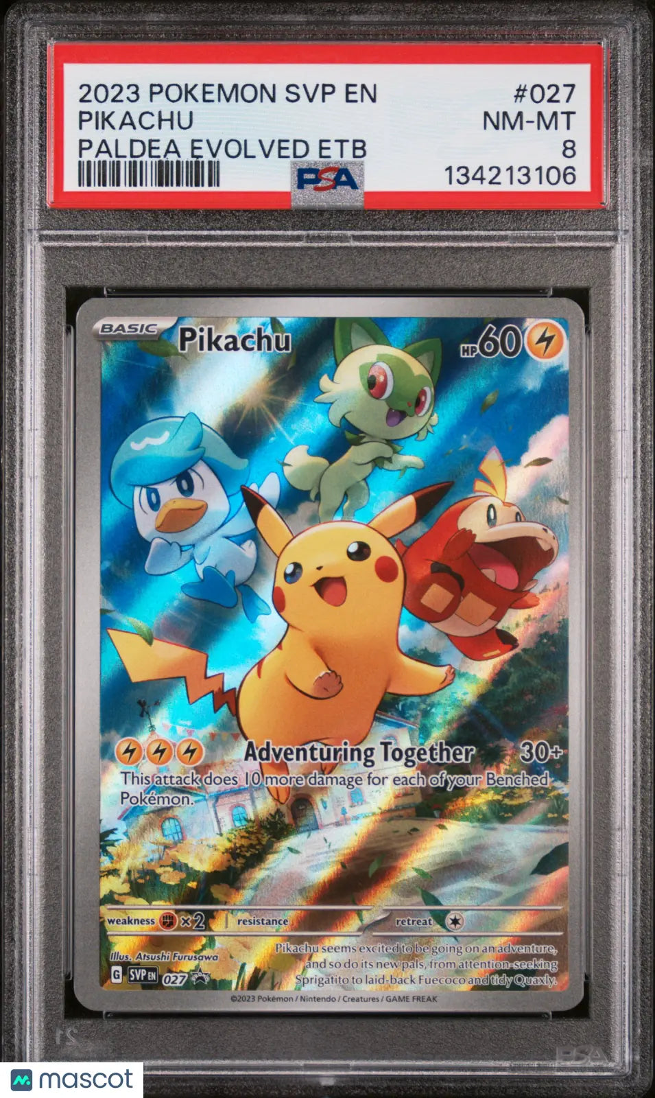 Pikachu Paldea Evolved Etb PSA 8 027 2023 Pokemon SVP EN-SV Black Star Promo 